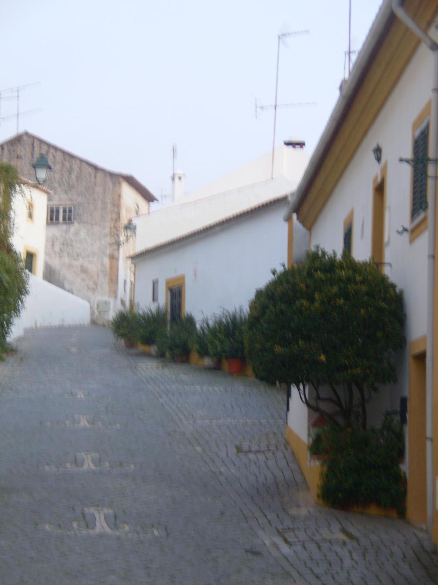Casa Joao Chagas Guesthouse, Constancia, By Viva A Vida - Alojamentos E Hotels Экстерьер фото